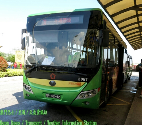 澳门31T路線 (只於大賽車期間服務)公交车路线