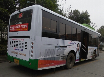 郴州985路公交车路线