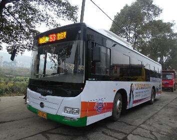 郴州53路公交车路线