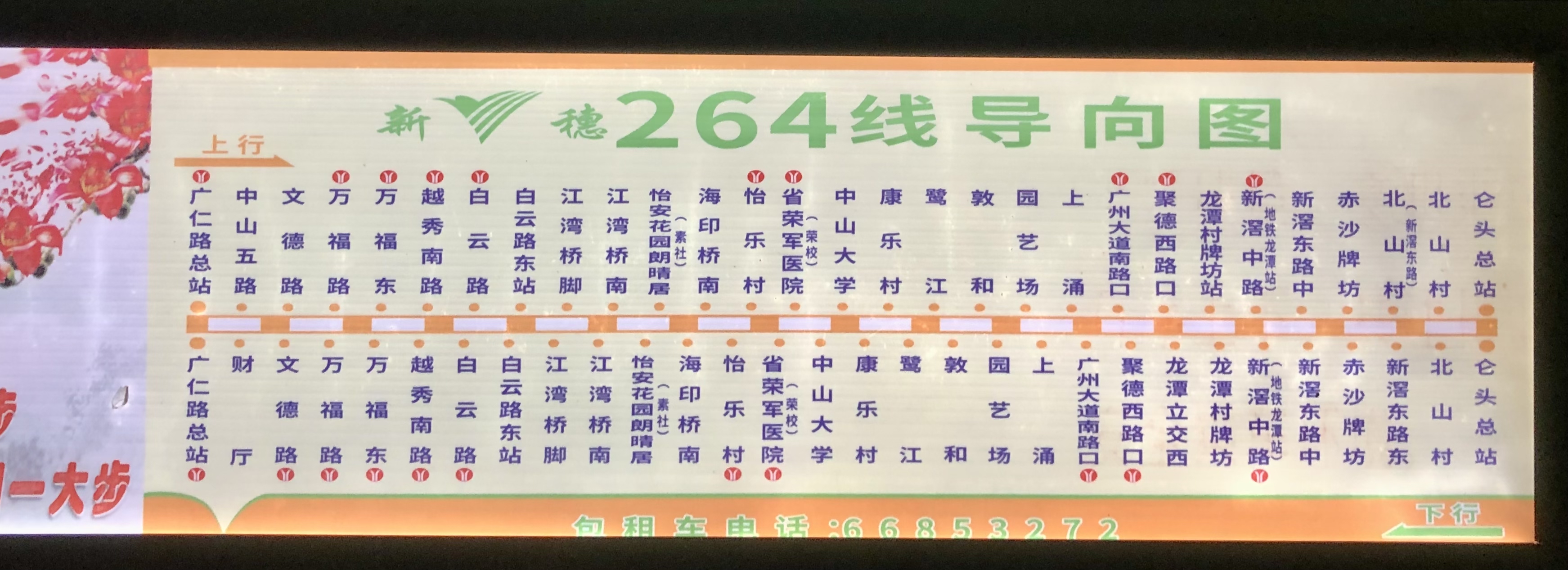 广州264路公交车路线