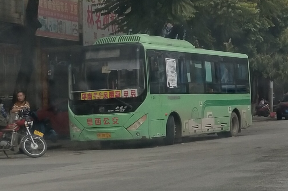 贵港平南303路公交车路线