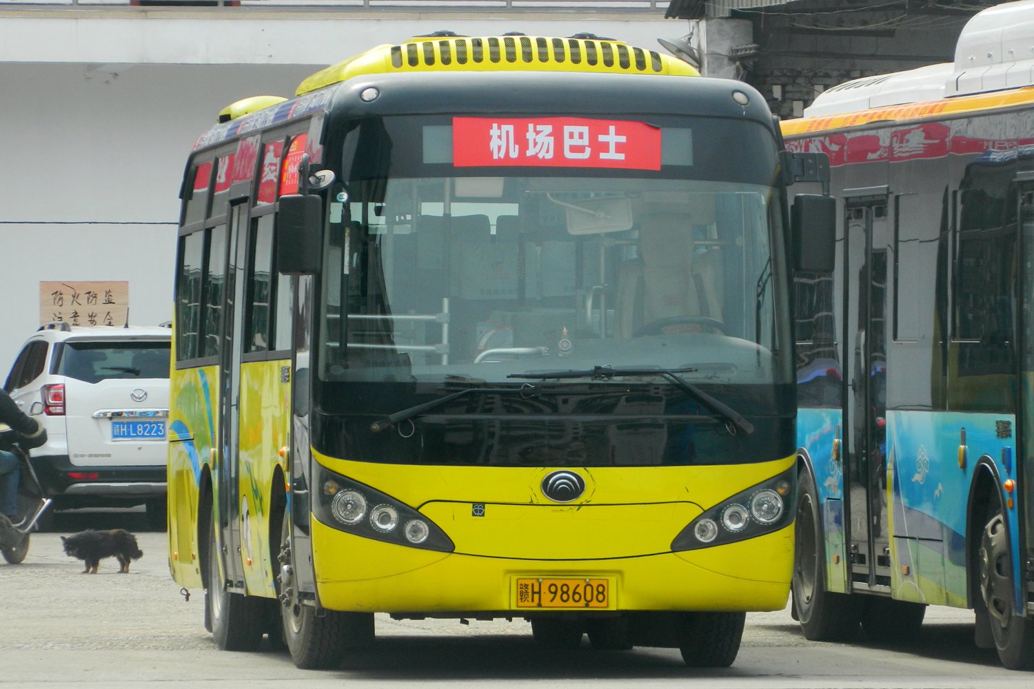 景德镇机场巴士公交车路线