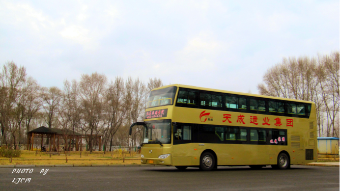 齐齐哈尔扎龙旅游专线公交车路线