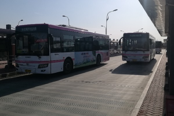 上海沪青盈专线公交车路线