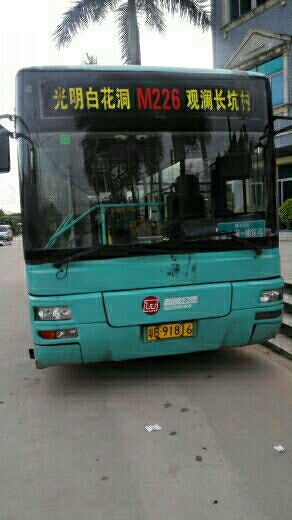 深圳M226路公交车路线