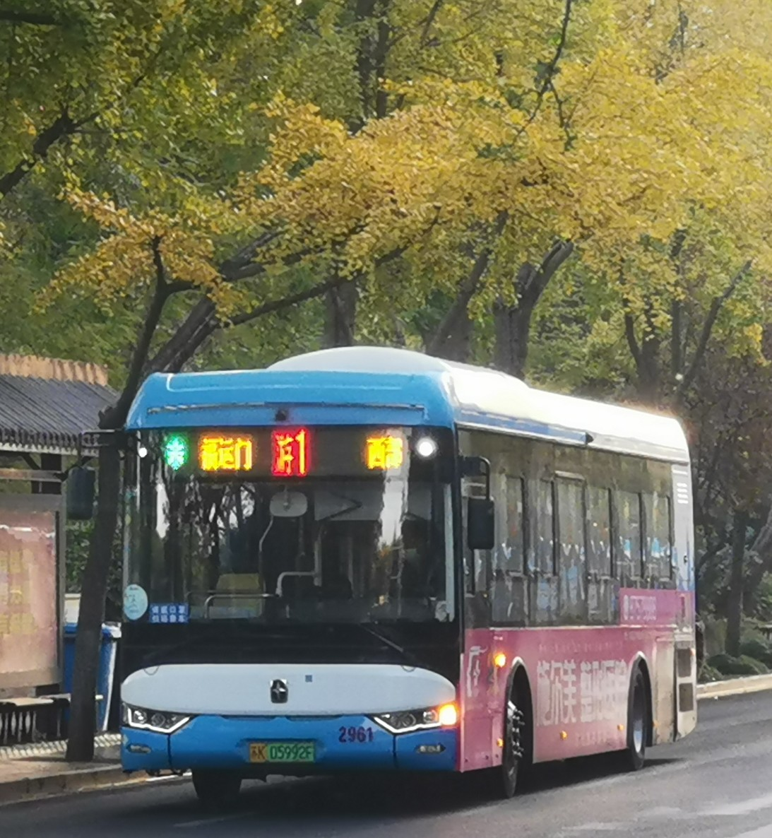 扬州游1公交车路线