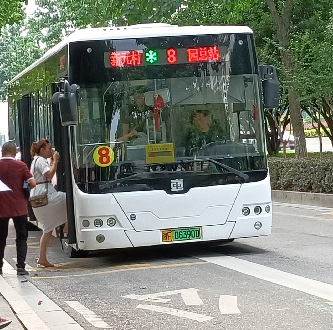 岳阳8路公交车路线