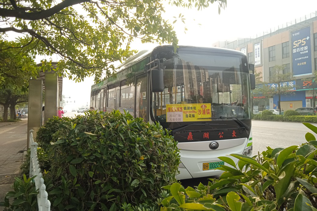 肇庆鼎湖1路(沙浦线)公交车路线