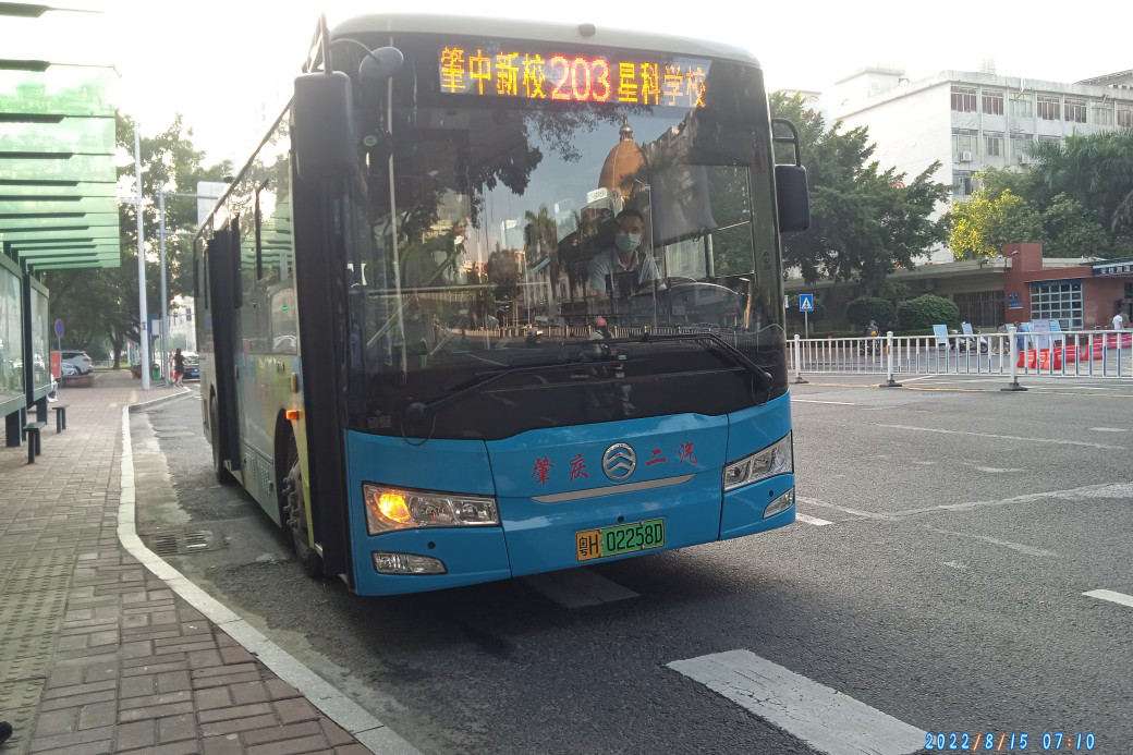 肇庆203路公交车路线