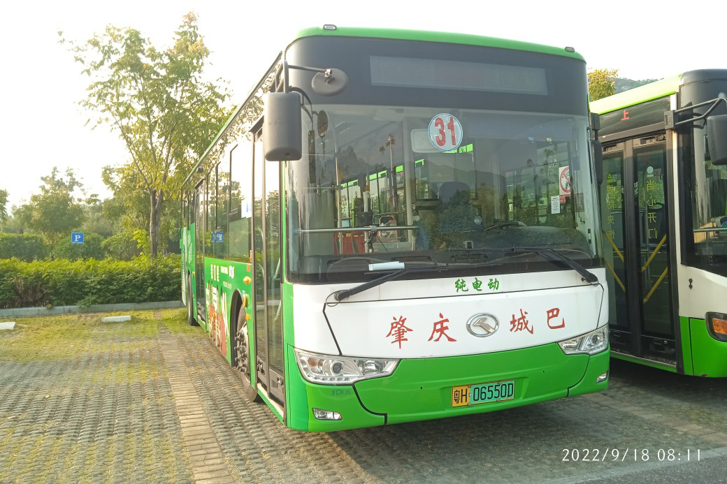 肇庆31路公交车路线