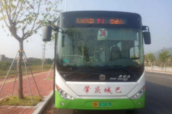 肇慶36路公交車路線